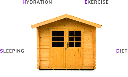SHED meaning